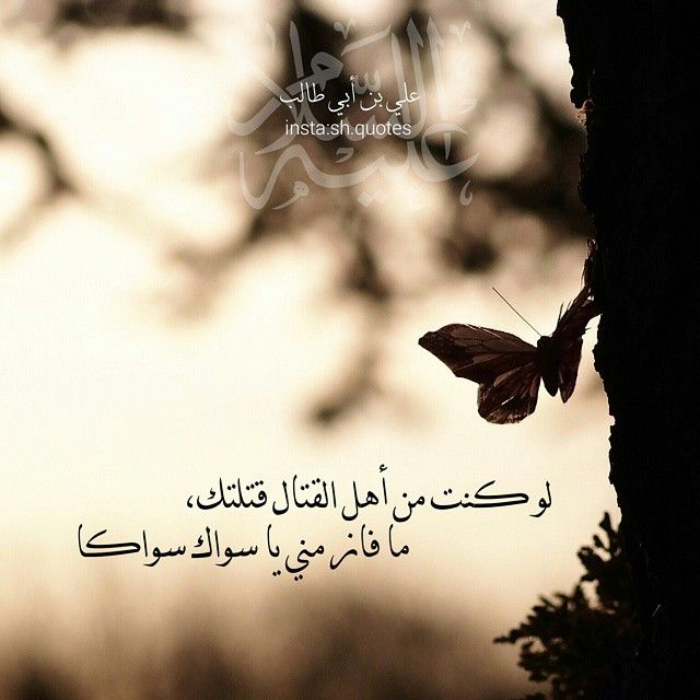 حظيت يا عود الأراك بثغرها شرح
