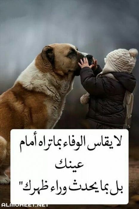 قصيدة الكلاب
