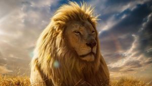 شعر وصف الاسد