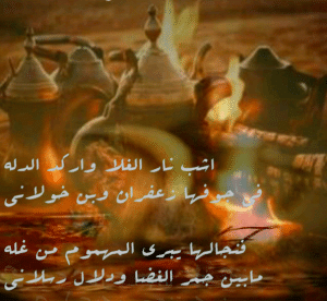 شعر في وصف الدله