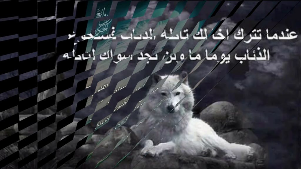 شعر عن الذئب قصير