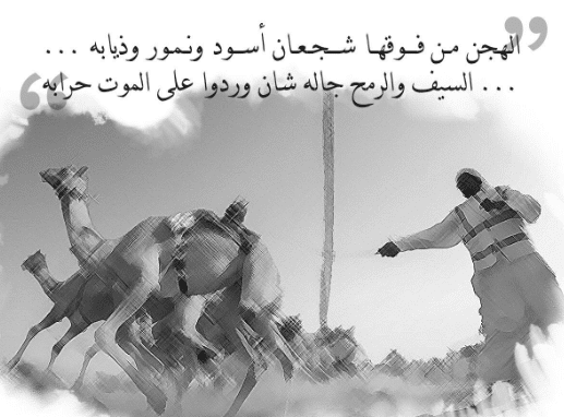 قصيدة الهجن من فوقها شجعان