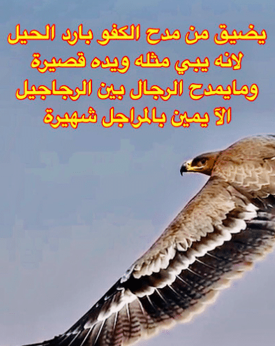  شعر بدوي مدح الرجال - شعر وصف الرجاجيل 