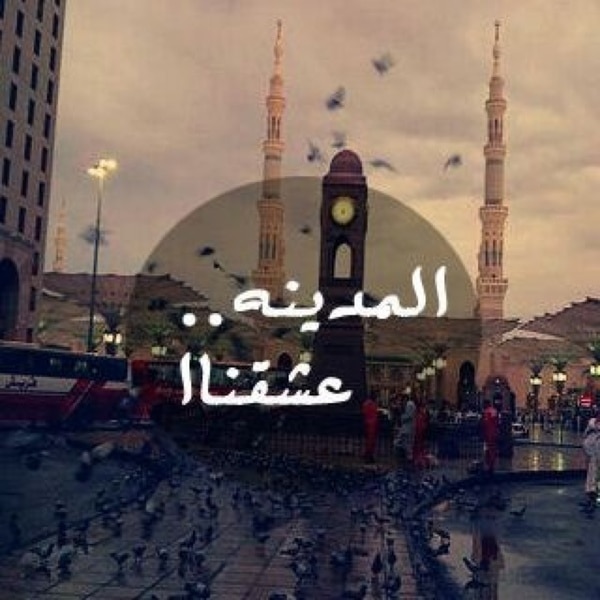 عبارات عن حب المدينة المنورة