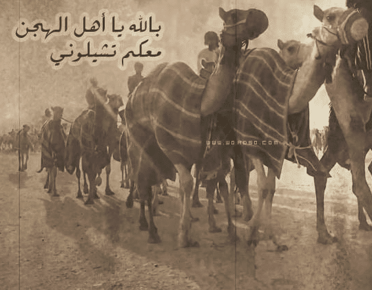 قصيدة في البكره السبوق