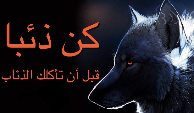 شعر عن وفاء الذئب