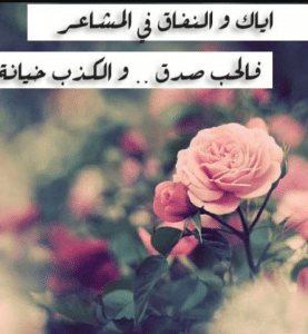 عبارات عن الكذب في الحب