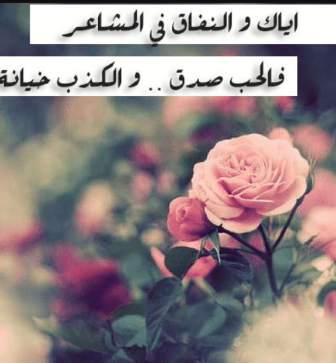 حالات واتس عن الكذب والخداع1
