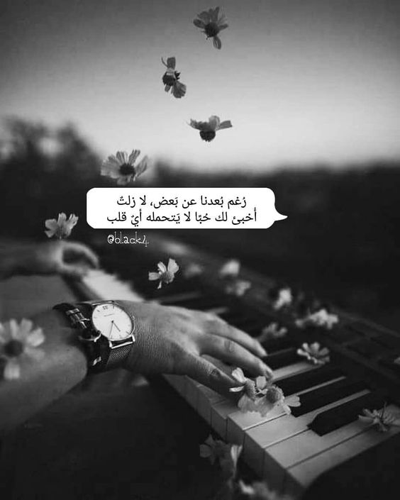 تويتر غزل وشوق 1