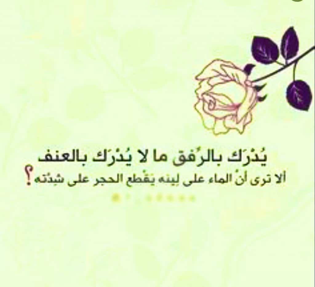 عبارات عن اللطف تويتر 5