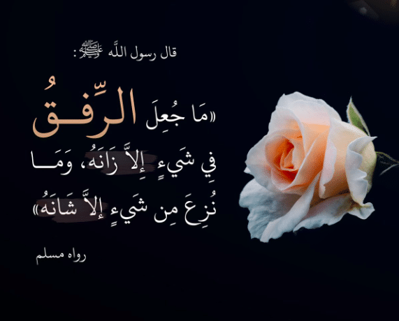 تغريدات عن الـرفق 2