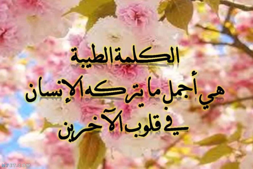 تغريدات عن الـرفق 3