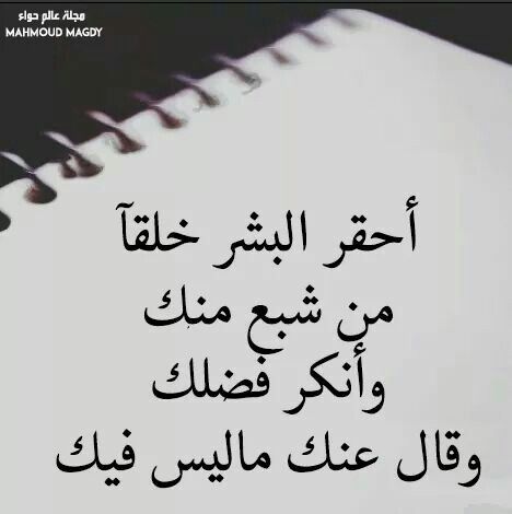 عبارات عن حقارة البشر