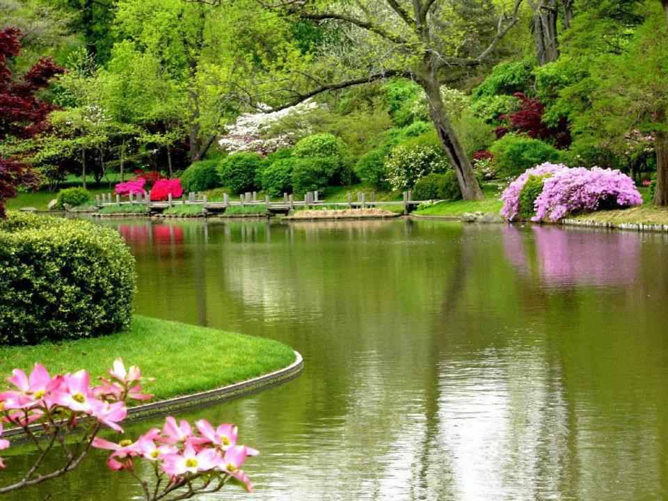 مناظر طبيعية هادئة2