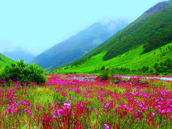 اجمل مناظر طبيعية في الهند1