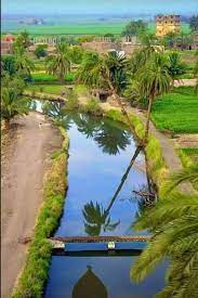 مناظر طبيعية من الريف المصري3