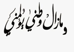تغريدات عن الوطن