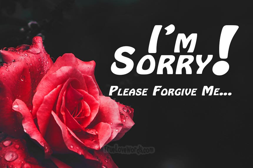 message to say sorry for hurting
