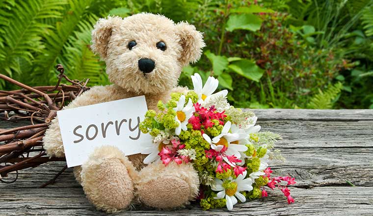 message to say sorry, and i love you
