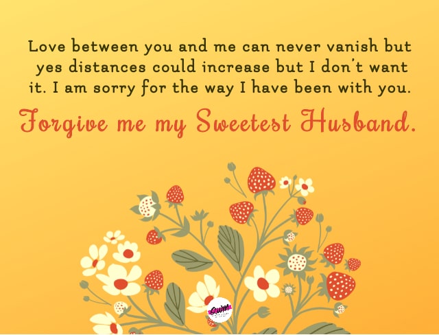 sorry message for husband