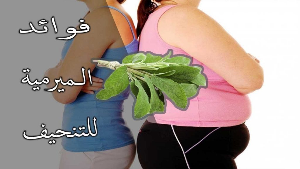 فوائد الميرمية للنساء للتنحيف
