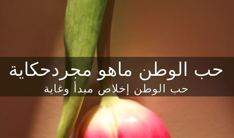 تغريدات عن الوطن 2