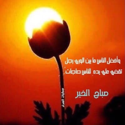تغريدات صبـاحية 2