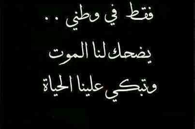 تغريدات عن الوطن 4
