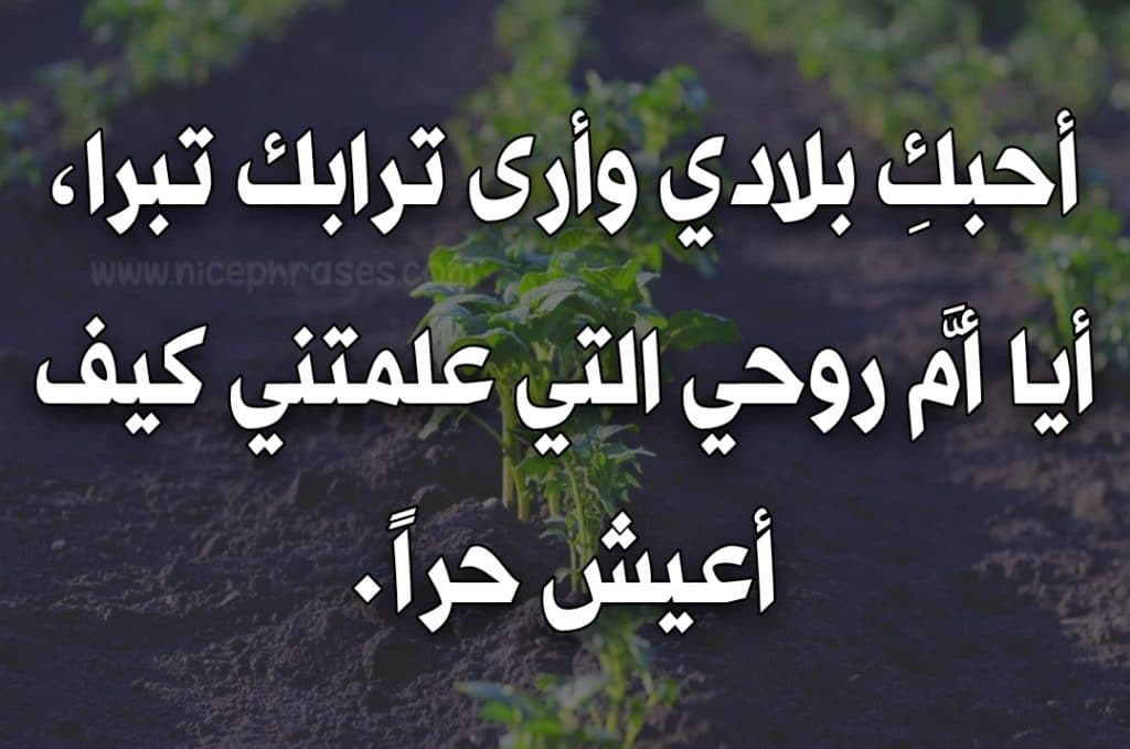 عبارات عن الوطن