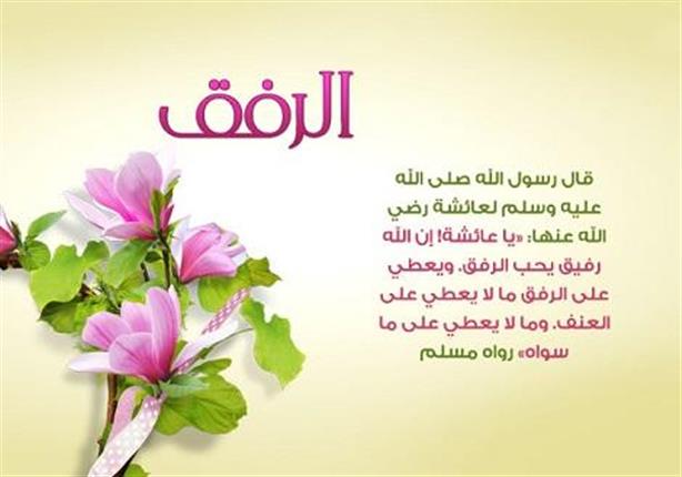 عبارات عن الرفق