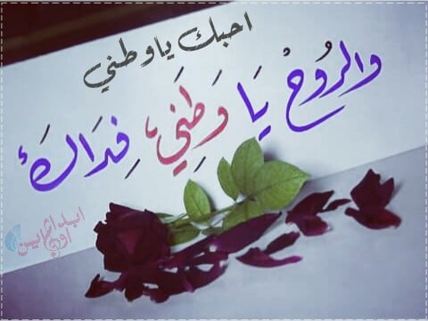 كلمة دينية عن الوطن