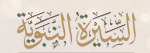 افضل كتب السيرة النبوية