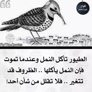 أقوال غيرت العالم بالصور2
