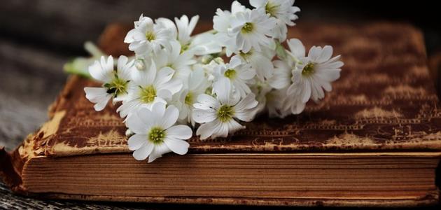 حكم هندية قديمة