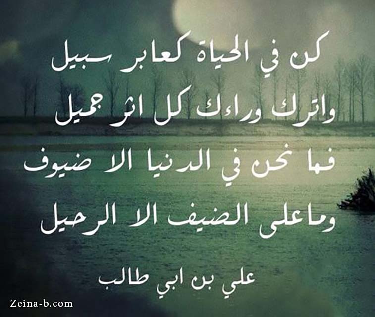 اقوال وحكم عن الحياة بالصور3