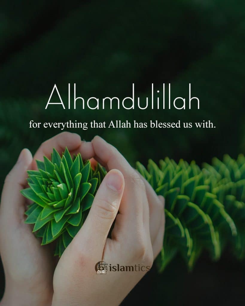 photo alhamdulillah 5