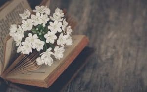 مقولات طويلة عن الحياة