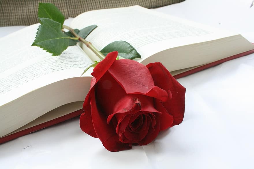 الكتابة على الصور الشخصية
