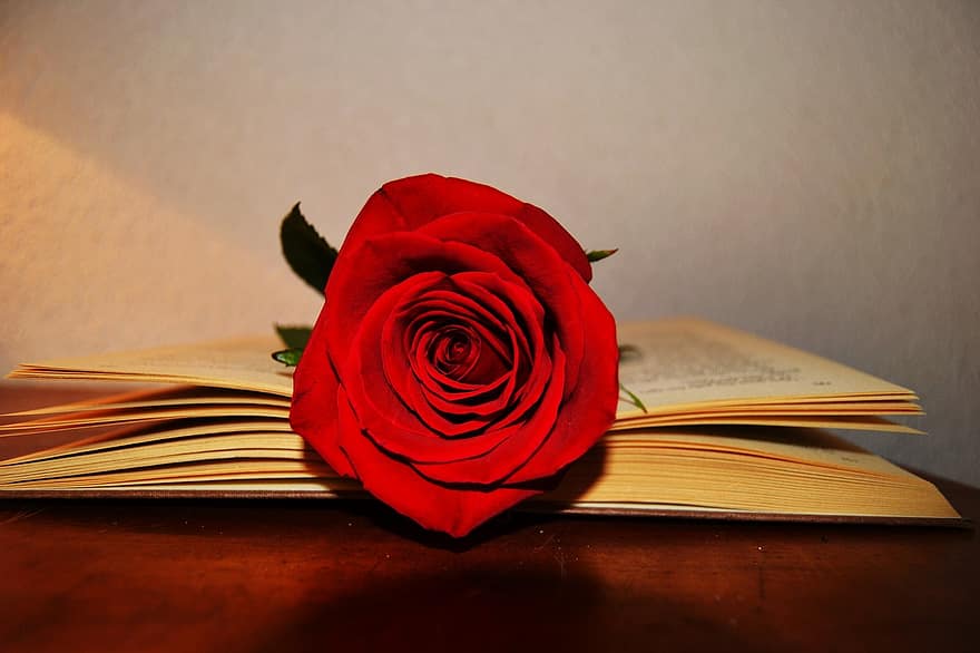 عبارات تكتب على الصور بالانجليزي