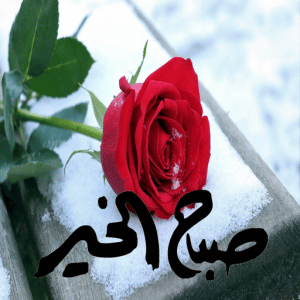 ملصقات صباح الخير