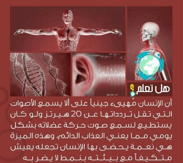 منشورات ثقافية عامة4