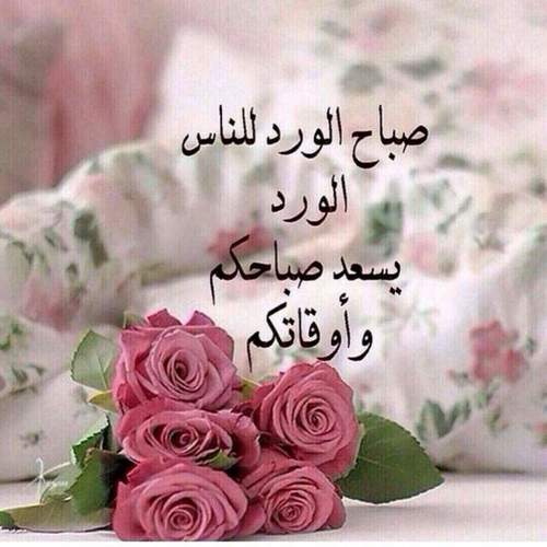 رسائل صباحية جميلة