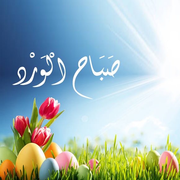 عبارات صباح الخير