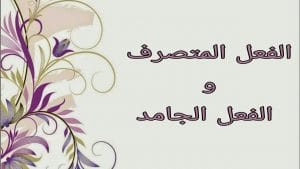 شرح درس الفعل الجامد والمتصرف