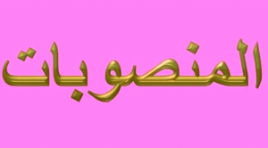 المنصوبات في اللغة العربية