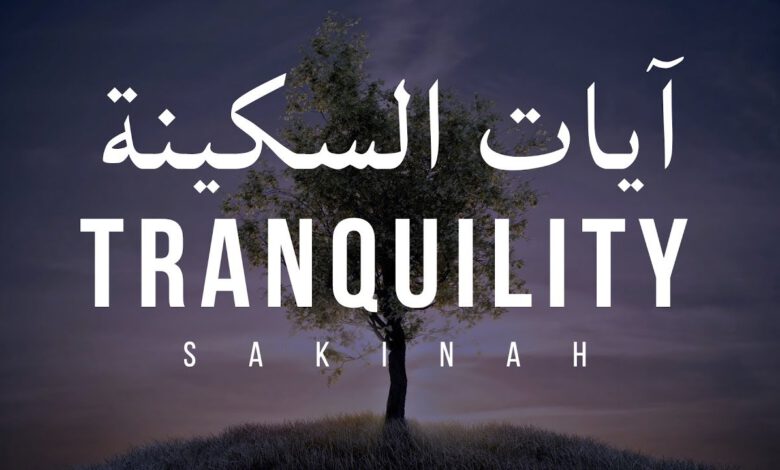 فوائد آيات السكينة
