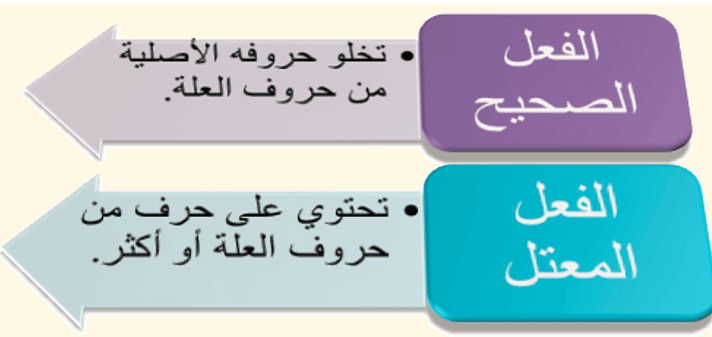 شرح درس الافعال الصحيحه والافعال المعتله