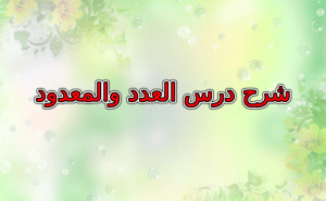 شرح درس العدد والمعدود