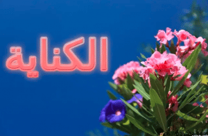 شرح درس الكناية