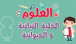شرح درس الخلية النباتية والحيوانية